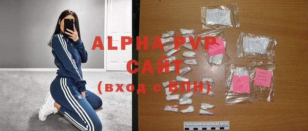 сатива Бронницы