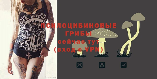 ALPHA PVP Богданович