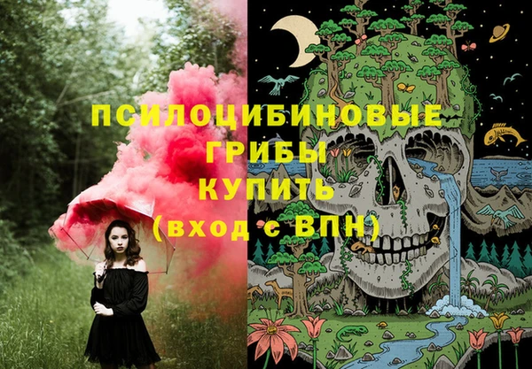 первитин Богородск