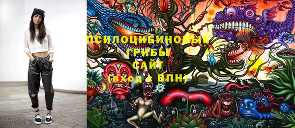 2c-b Богородицк