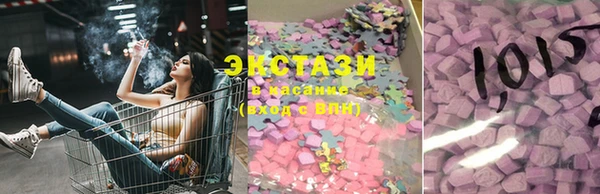 прущие грибы Новый Уренгой