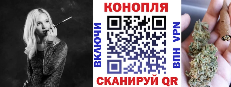 Бошки марихуана марихуана  Городовиковск 